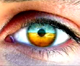 Auge